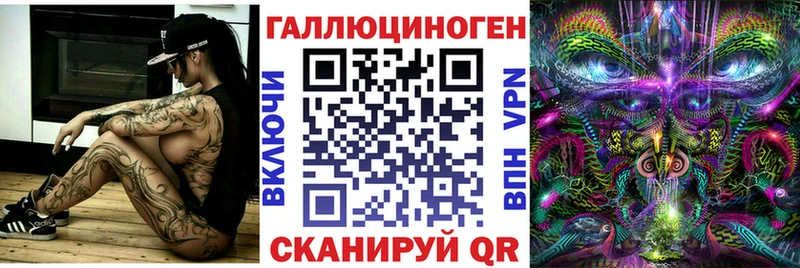 где купить наркоту  Плёс  дарк нет какой сайт  Псилоцибиновые грибы Psilocybe 