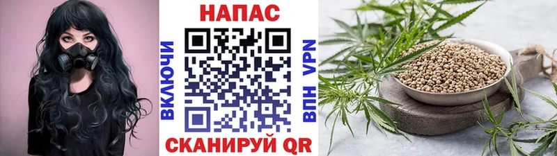 сайты даркнета телеграм  купить   Плёс  Канабис план 